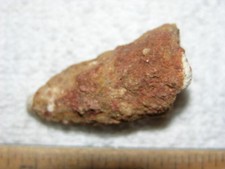 Dinosaur fossil tooth Spinosaurus Cretaceous Era bigger 1.5 inch long E40