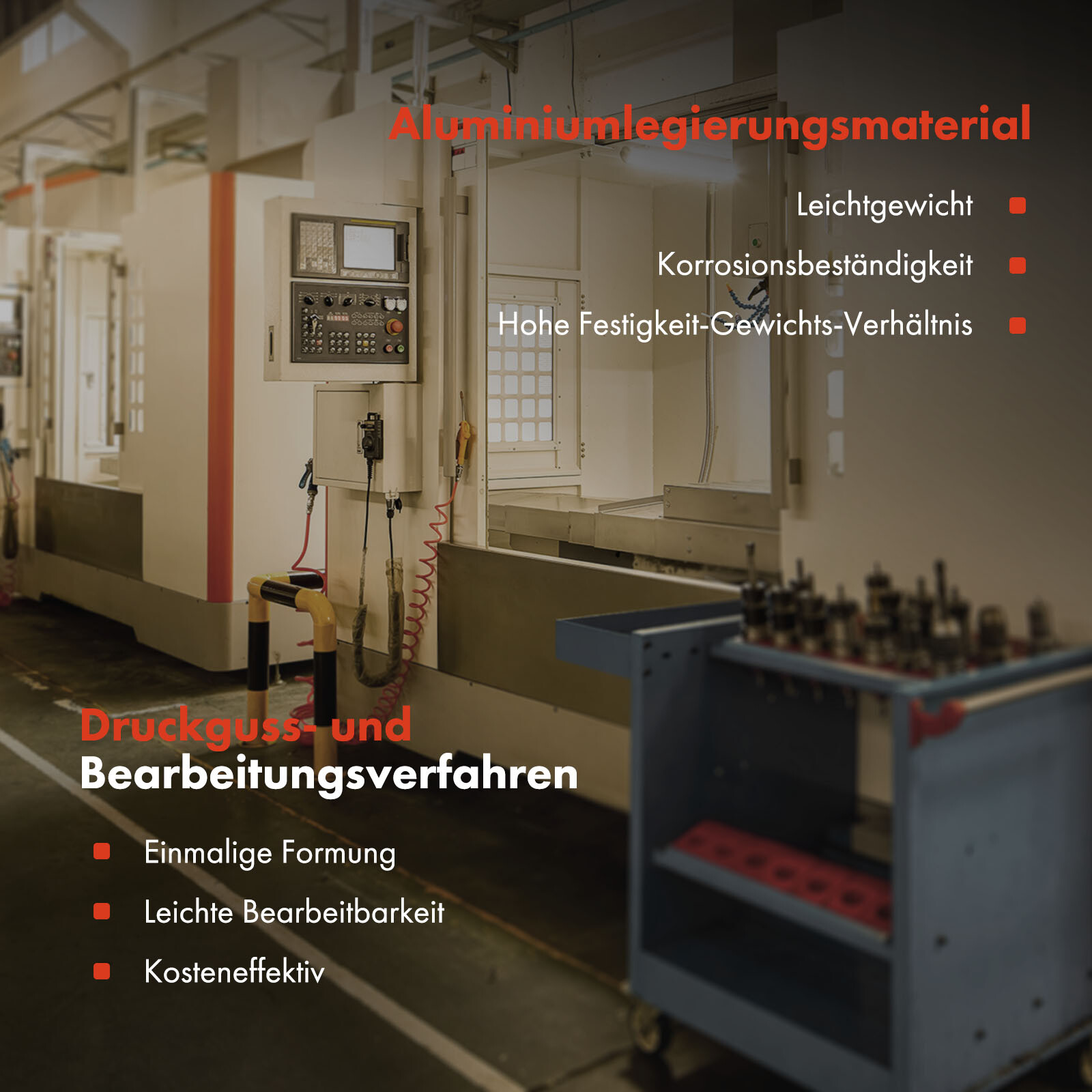 Bild 4 von 8