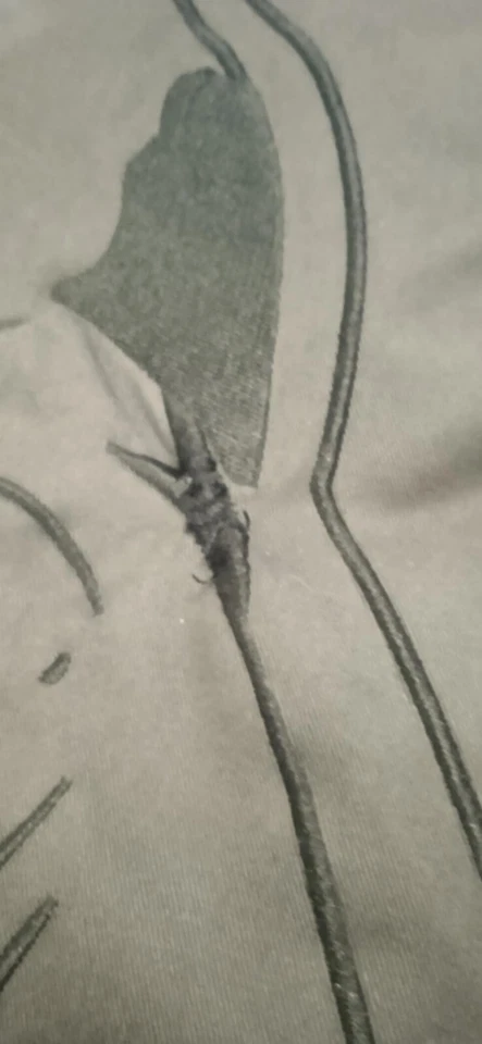 Manteau Star Wars 7/8 ans dans l'état avec toue les étiquettes - Photo 2/4