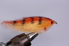 Fliegentom 3 Stück Fischchen Tiger - glänzend