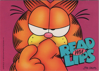 Garfield Face Close Up Read My Lips Humor postcard LP7