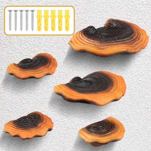 5 Pcs Mushroom Shelves Resin Mushroom Floating Shelves Reishi Shaped - Picture 11 of 11