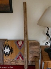 40 X 2" Large Cholla Cactus Rain Stick