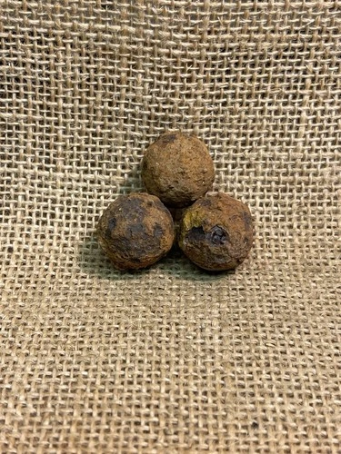 Dug Civil War Artillery Three Iron Balls Canister Shot Allatoona Pass Georgia
