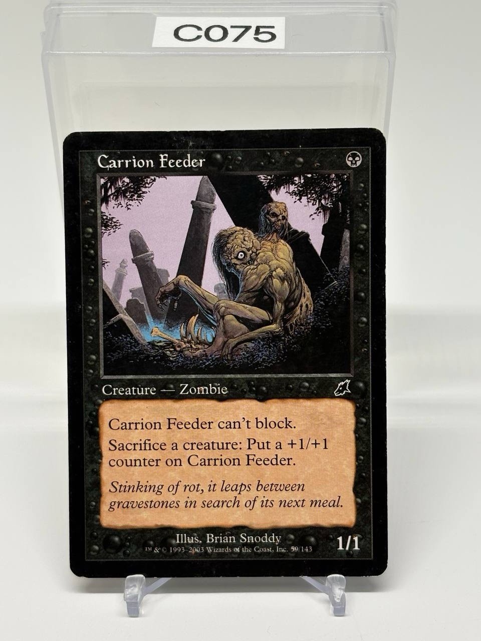 MTG Carrion Feeder Scourge 59/143 Regular Common LP Magic the Gathering