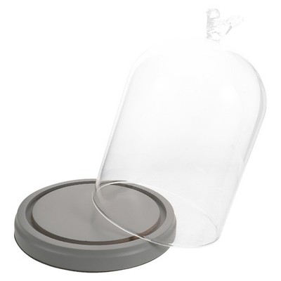Glass Cloche Dome: Decorative Glass Display Bell Jar with Wooden Base for