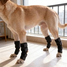 S/M/L/XL Dog Rear Leg Knee Brace Hock Joint Wrap fits Heals  Prevents Injuries