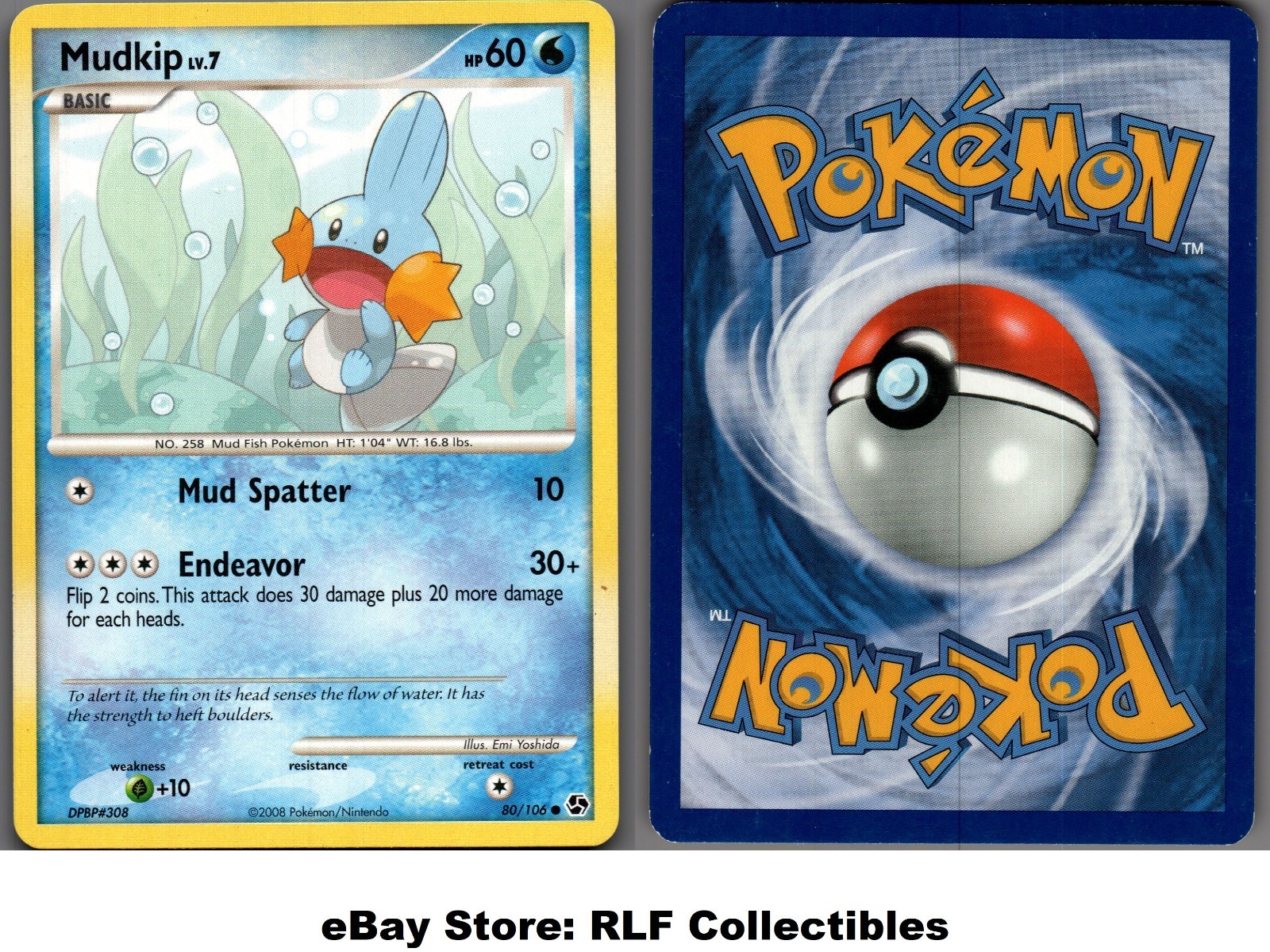 2008 Pokemon, D&P Great Encounters, #80/106 Mudkip, Common
