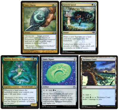 mtg simic cards MTG Cards: SIMIC INITIATE FOIL # 5B66 main image 0