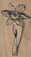 Pretty Flower 1 3/4 x 3" Rubber Stamp, Flower Stamp, Nature Stamp, Plant Stamp