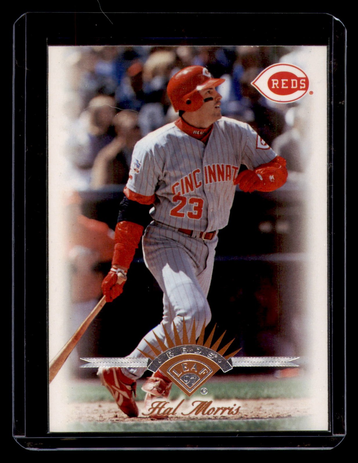 1997 Leaf - Hal Morris #276