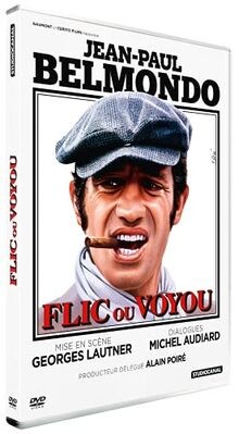 Flic ou voyou von Studiocanal | DVD | Zustand gut