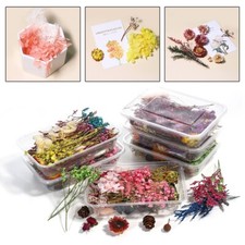 Bunte Trockenblumen Kerzenharzherstellung mit natrlichen Blumen Sortiment