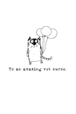 To an amazing vet nurse...: A gift book for vet nurse... by Ford MRCVS, Dr Katie