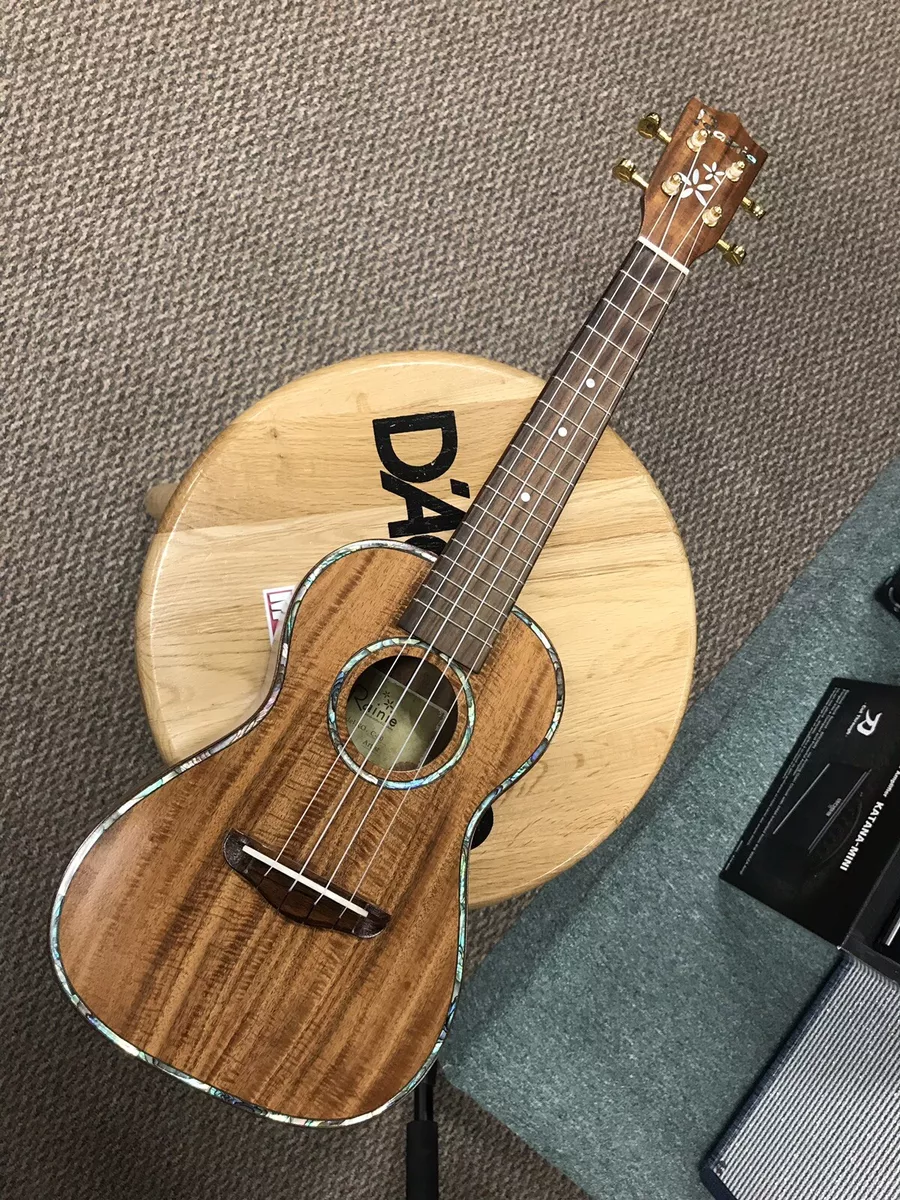 Rainie C 50 Artist Koa Concert Ukulele w Gig Bag eBay
