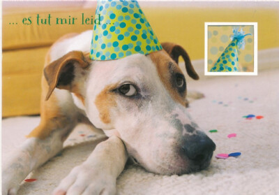 ...I'm sorry...birthday hinged card new postcard dkz2434c