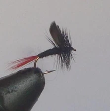 Lot of 6 Black Gnat Red Tail Hand Tied Fly Fishing Flies Choice of Hook Size