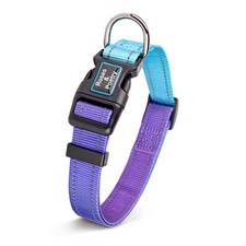 Reflective Dog Collar Gradient Violet Adjustable Durable Pet Gear XS Fits