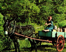 Vintage Chrome Postcard White Lightening Express Moonshine Delivery