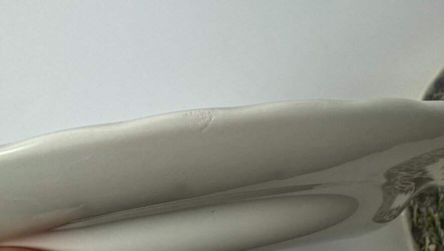 Churchill Thanksgiving Dinner Plates Set of 2 Colorful Myott Factory Archive 10"