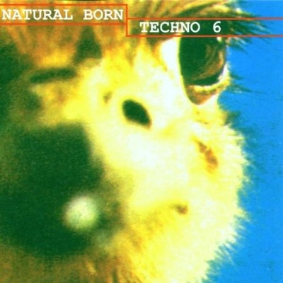 Various - Natural Born Techno  Vol. 6 CD ** Free Shipping**