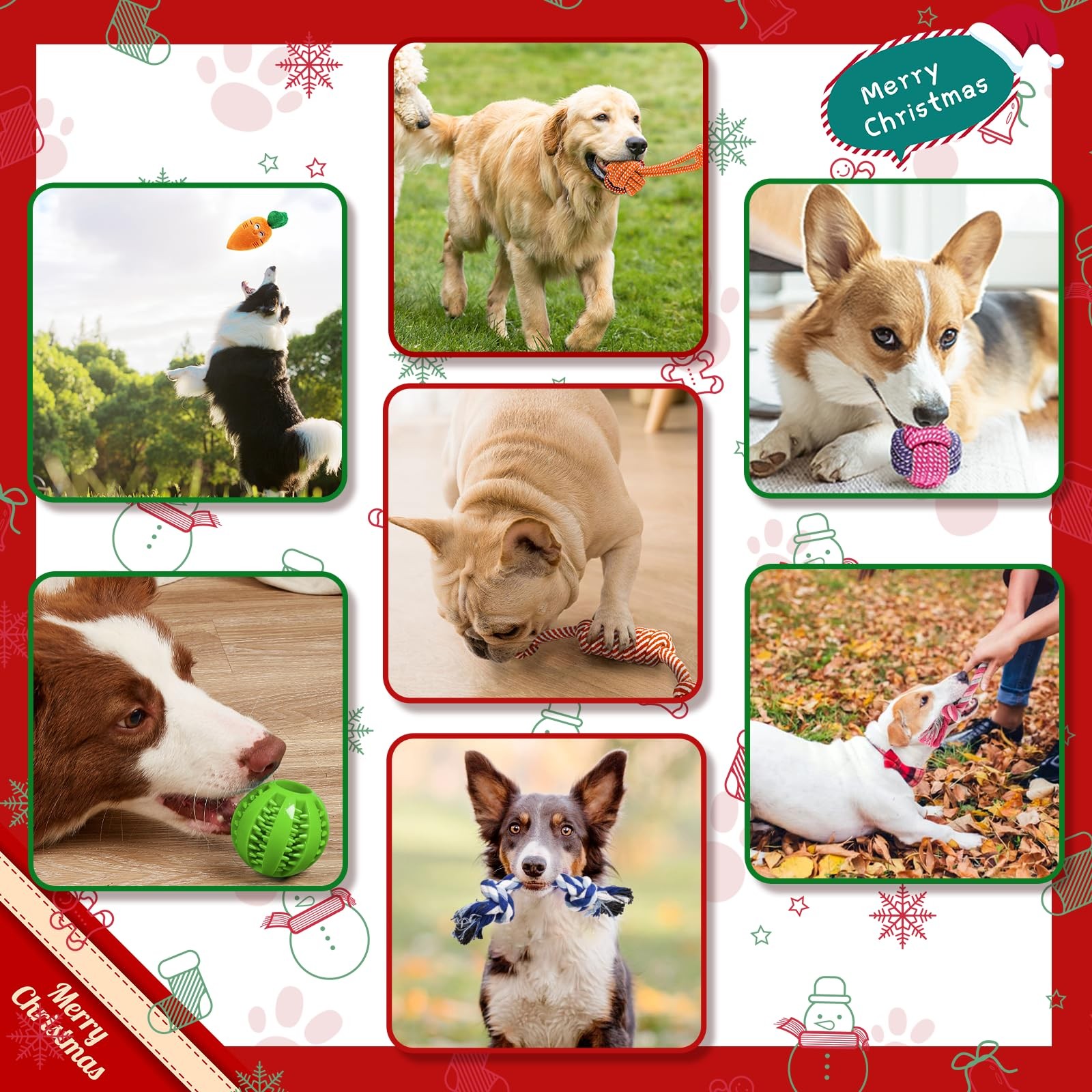 Jouets interactifs de dentition en coton naturel pour petit chiot