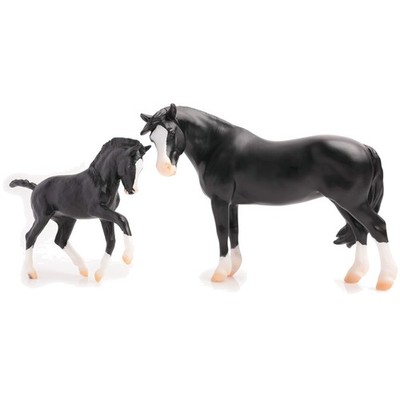 Nistar Blazing Kansas LOM & GTF Blazing Ethel Welsh Pony Set