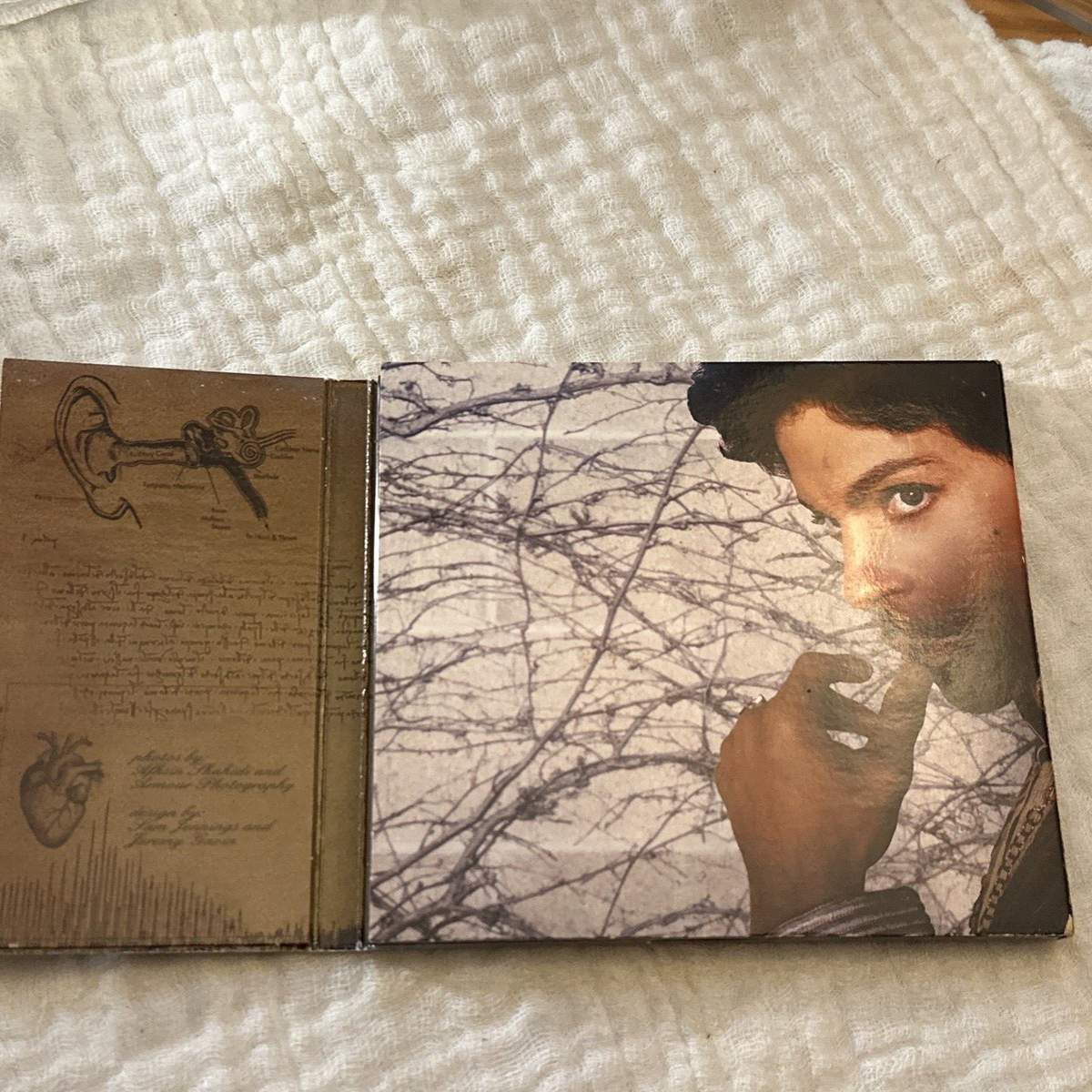 Prince : Musicology CD Original Release Gatefold 827969256022| eBay