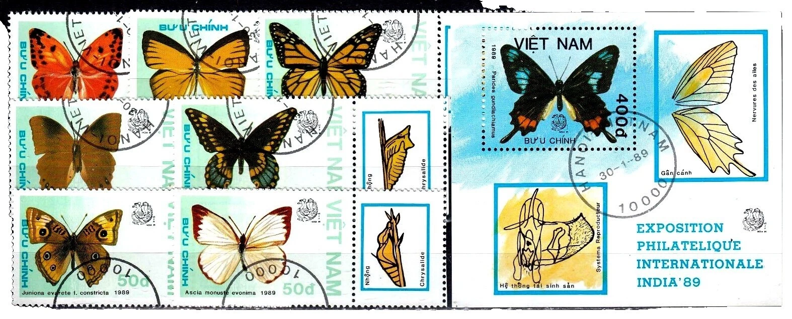 Vietnamese Independent Nation Animal Kingdom Postal Stamps