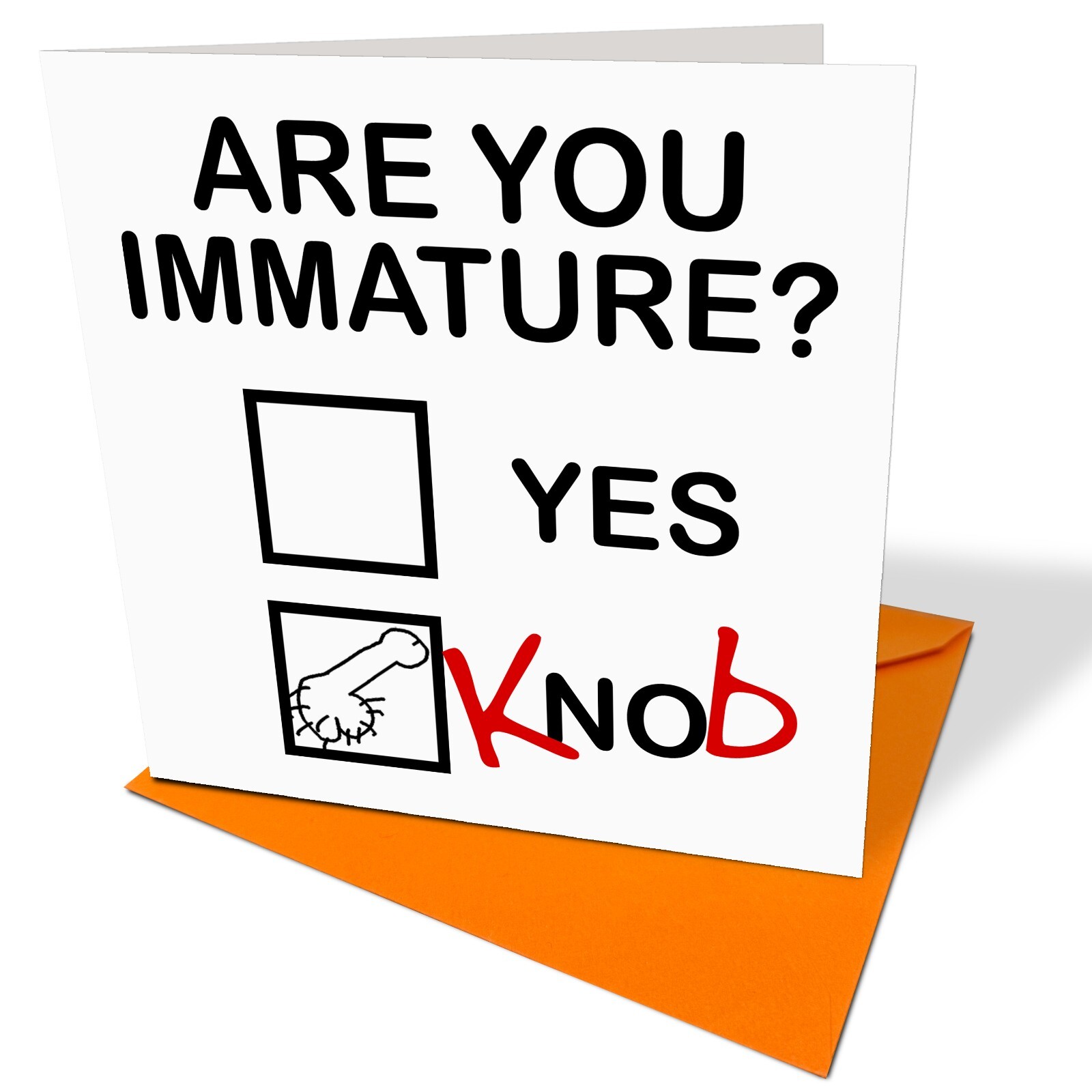 Are You Immature? - Funny Novelty Birthday Card 18th 21st 30th 40th 50th 60th