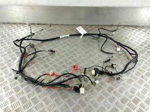 Peugeot SPEEDFIGHT 125 ICEBLADE Wiring Loom | eBay