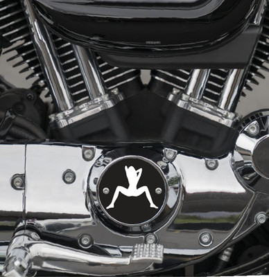 Spread Eagle Sportster Points / Timing Cover Fits Harley 883 & 1200 Motors