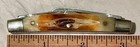 Parker-Imai Small Congress Pocketknife, 4 Blade, Fat Bone-Stag, 3 1/8” Closed — photo 2
