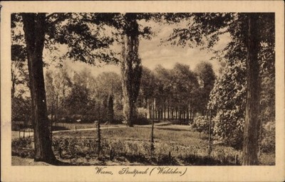 Ak Worms am Rhein, Waldlandschaft, Stadtpark  Bäume, Wäldchen - 4847864