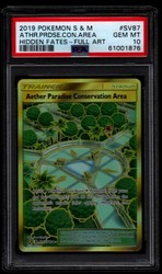 Aether Paradise Conservation Area SV87/SV94 Hidden Fates Secret Rare