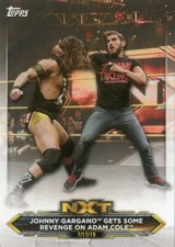 2020 Topps WWE NXT pick from list base cards
