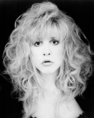 Stevie Nicks gorgeous 1980's era studio glamour portrait 24x30 inch poster
