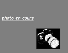 anneau ressort   pour  chaine de montre de poche en argent massif  ø 12 MM