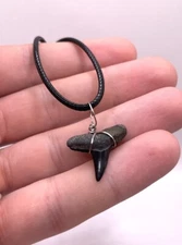 Real Lemon Fossil Shark Tooth Necklace | Pick your Cord Color | Waxed Cord