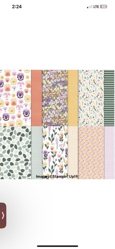 PANSY PETALS Designer Series Paper DSP Stampin Up 12 X 12 Full Pack - Picture 4 of 4