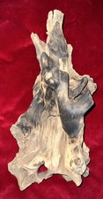 Natural Untreated Sunburned Driftwood Wood, 14.5 H