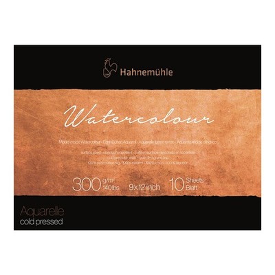 Hahnemuhle Collection Watercolor 300 Block Cold Pressed 9X12 300Gsm, 9-X-12-Inch