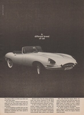 1964 Jaguar XK-E - ''A Different Breed Of Cat'' - Convertible - Print Ad Photo
