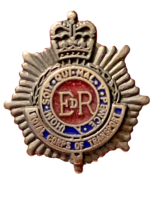 Spilla Pulce Polizia Di Stato| La Bottega Del Dido - Foto 4