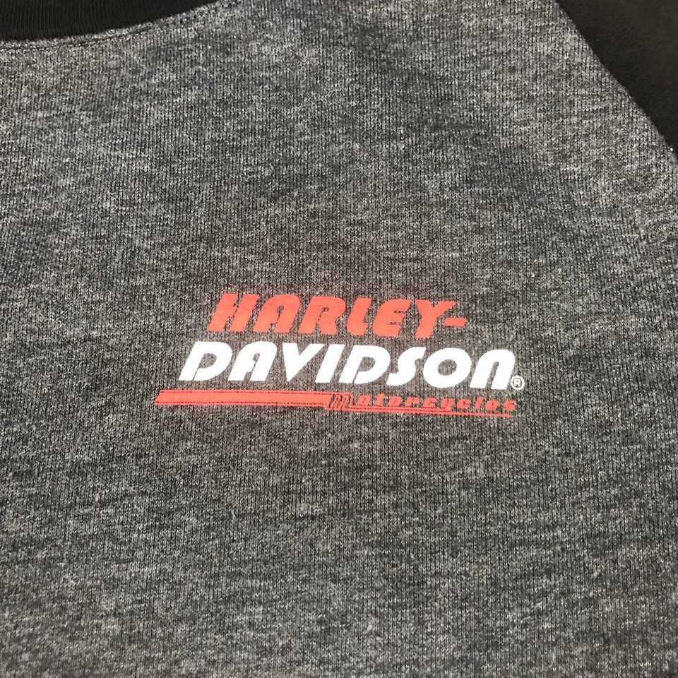 Camiseta Harley Davidson Para Hombre XL Bloque de Color Manga Larga Rojo Rayas Logo Estampado Foto 3 de 4