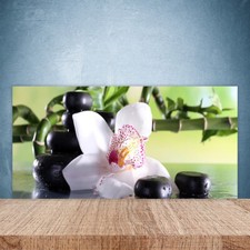 Paraschizzi Retrofornelli Cucina 100x50 Canna di bambù Pietre di fiori