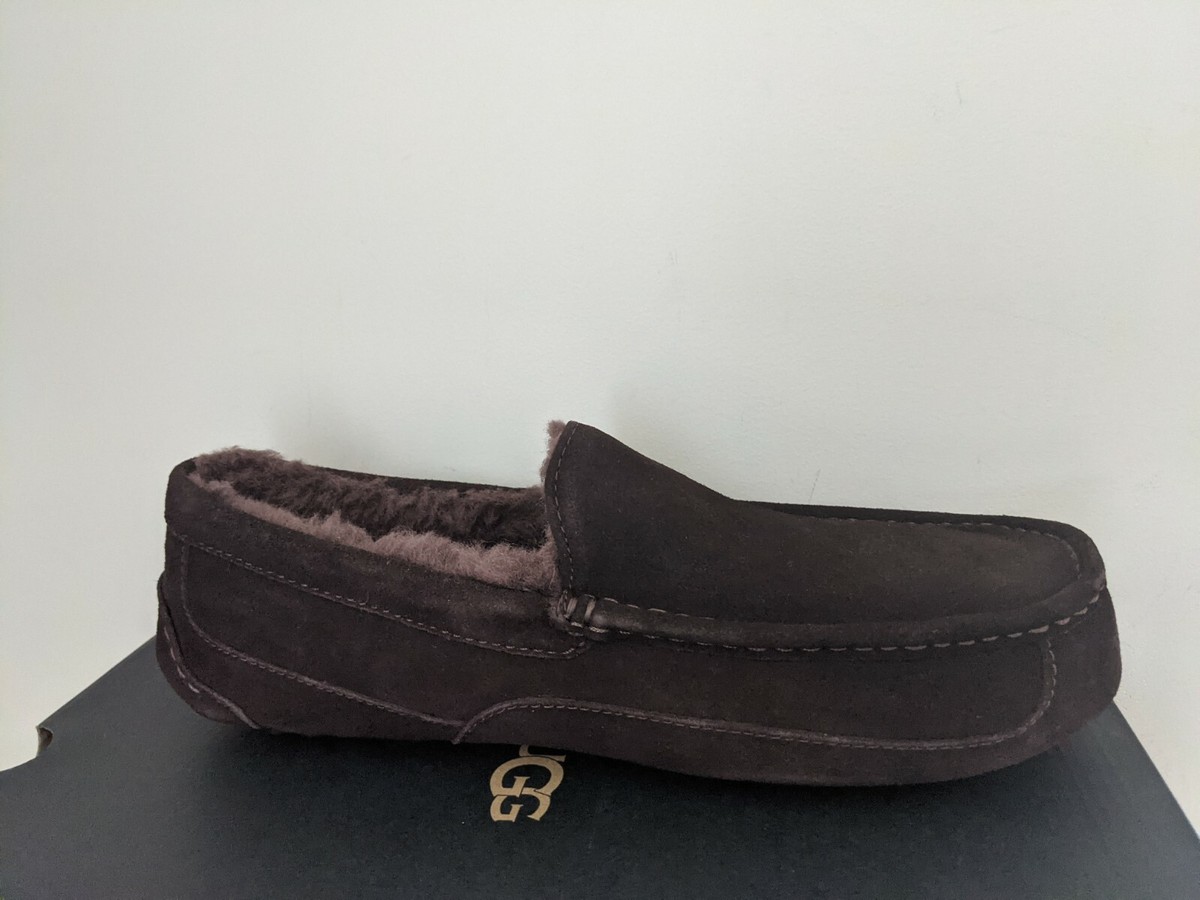 Ugg Australia Men`s Ascot Slipper Size 13 NIB | eBay display picture 3
