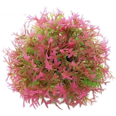 Künstliche Aquarium Pflanzen PE Mooskugel für Schildkröte Becken für deko 9cm x