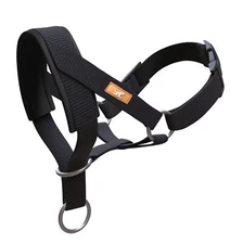 Dog Head Collar Head Collar with Fabric Padded Adjustable Training Tool Stop ...