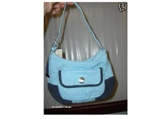 American Eagle Outfitters NWT Canvas Purse  BLUE